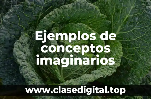 Ejemplos de conceptos imaginarios