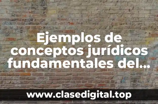 Ejemplos de conceptos jurídicos fundamentales del derecho civil