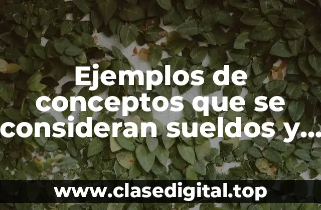 Ejemplos de conceptos que se consideran sueldos y salarios