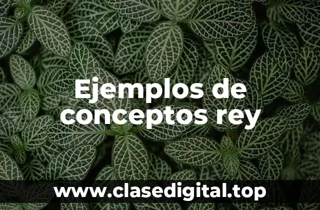Ejemplos de conceptos rey