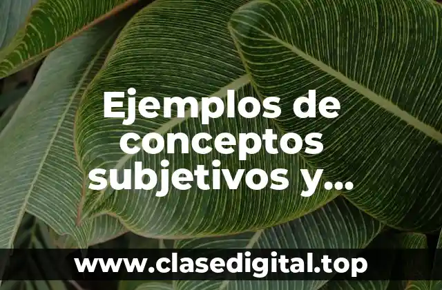 Ejemplos de conceptos subjetivos y Significado