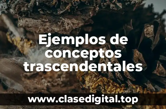 Ejemplos de conceptos trascendentales