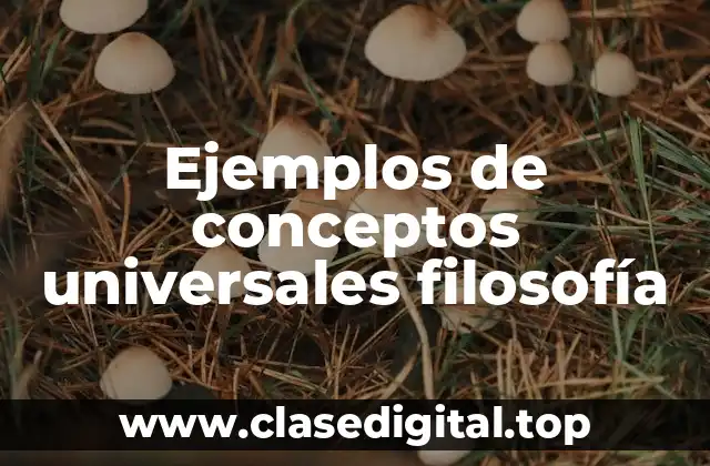 Ejemplos de conceptos universales filosofía