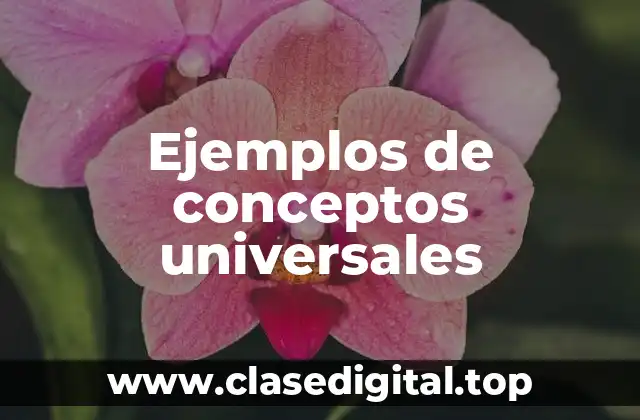 Ejemplos de conceptos universales