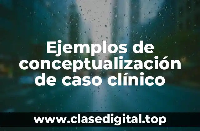 Ejemplos de conceptualización de caso clínico