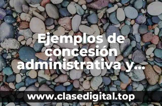 Ejemplos de concesión administrativa y Significado