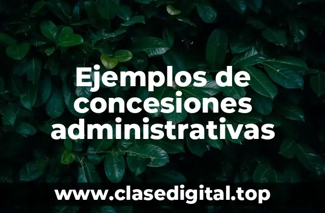 Ejemplos de concesiones administrativas