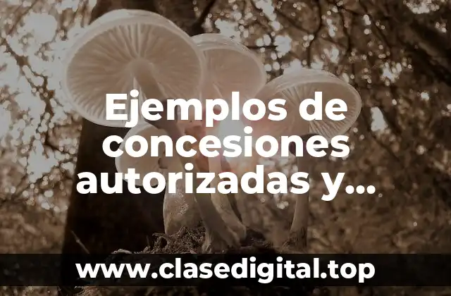 Ejemplos de concesiones autorizadas y Significado