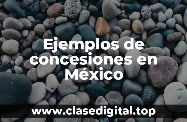Ejemplos de concesiones en México