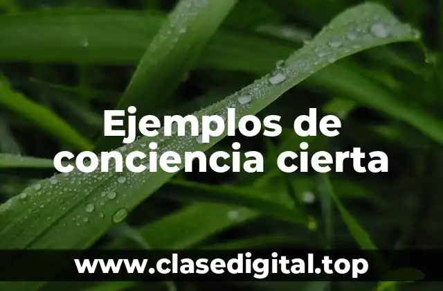 Ejemplos de conciencia cierta
