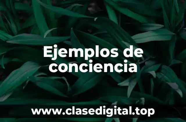 Ejemplos de conciencia