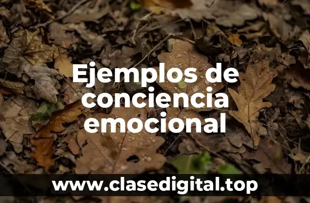 Ejemplos de conciencia emocional