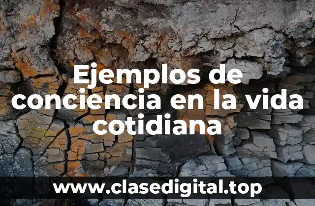 Ejemplos de conciencia en la vida cotidiana