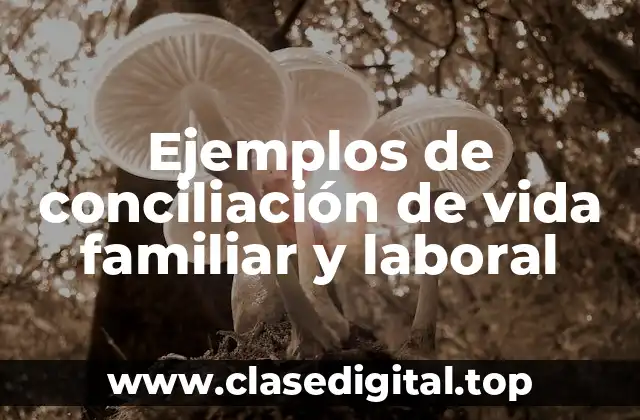 Ejemplos de conciliación de vida familiar y laboral