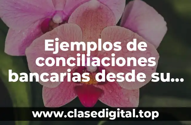 Ejemplos de conciliaciones bancarias desde su inicio