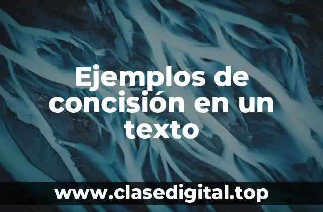 Ejemplos de concisión en un texto