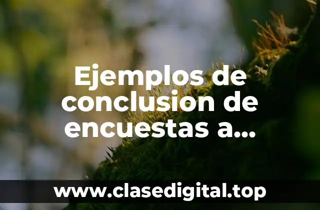 Ejemplos de conclusion de encuestas a mecanicos