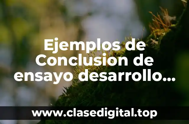 Ejemplos de Conclusion de ensayo desarrollo organizacional
