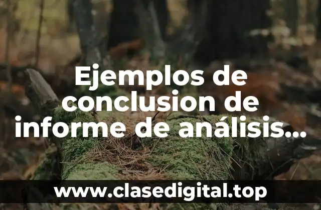 Ejemplos de conclusion de informe de análisis financiero