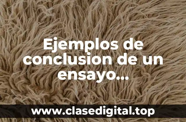 Ejemplos de conclusion de un ensayo argumentativo