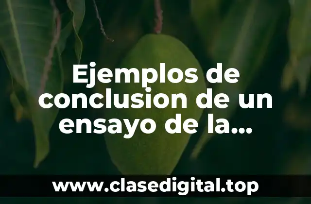 Ejemplos de conclusion de un ensayo de la educación especial