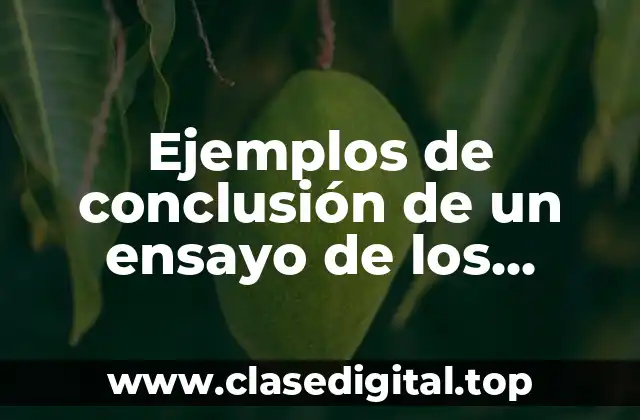 Ejemplos de conclusión de un ensayo de los docentes y Significado