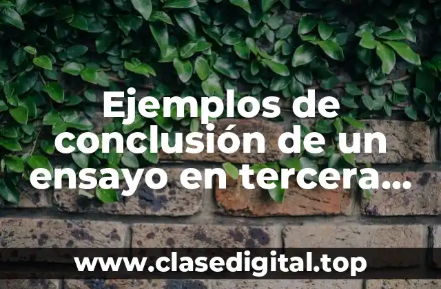 Ejemplos de conclusión de un ensayo en tercera persona y Significado