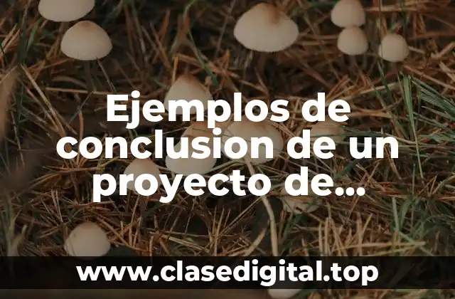 Ejemplos de conclusiones de proyectos de investigación