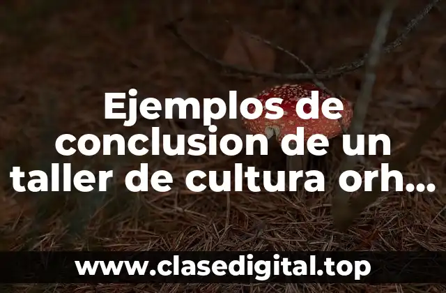 Ejemplos de conclusion de un taller de cultura orh ganizacional