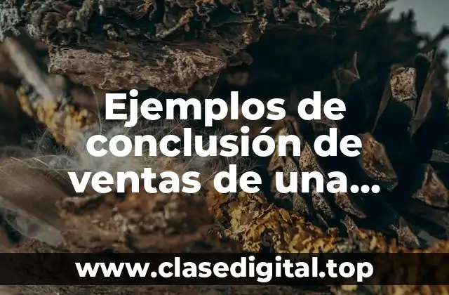 Ejemplos de conclusión de ventas de una empresa