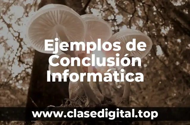Ejemplos de Conclusión Informática