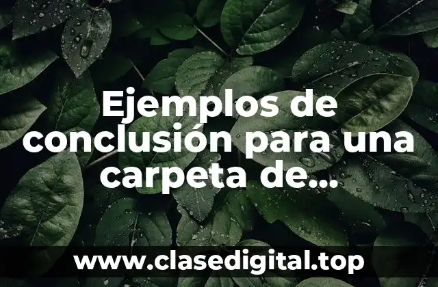 Ejemplos de conclusión para una carpeta de evidencias