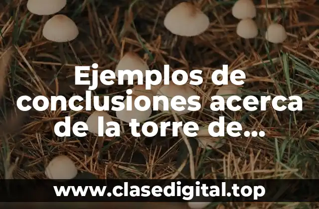 Ejemplos de conclusiones acerca de la torre de líquidos