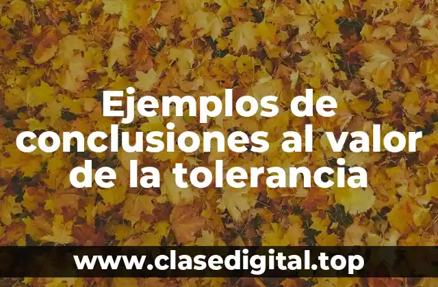 Ejemplos de conclusiones al valor de la tolerancia