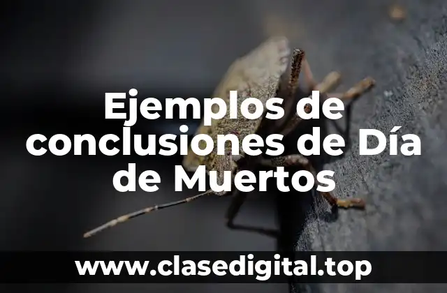 Ejemplos de conclusiones de Día de Muertos