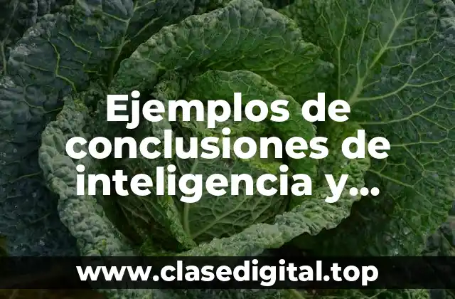 Ejemplos de conclusiones de inteligencia y pensamiento