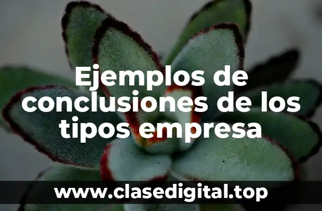 Ejemplos de conclusiones de los tipos empresa