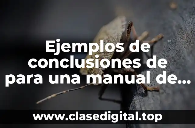 Ejemplos de conclusiones de para una manual de urgencias y Significado