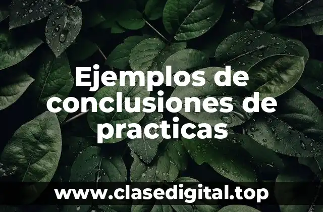 Ejemplos de conclusiones de practicas