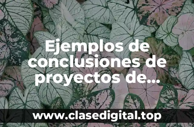 Ejemplos de conclusiones de proyectos de empresa Bimbo
