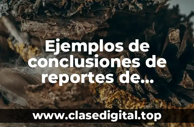 Ejemplos de conclusiones de reportes de prácticas