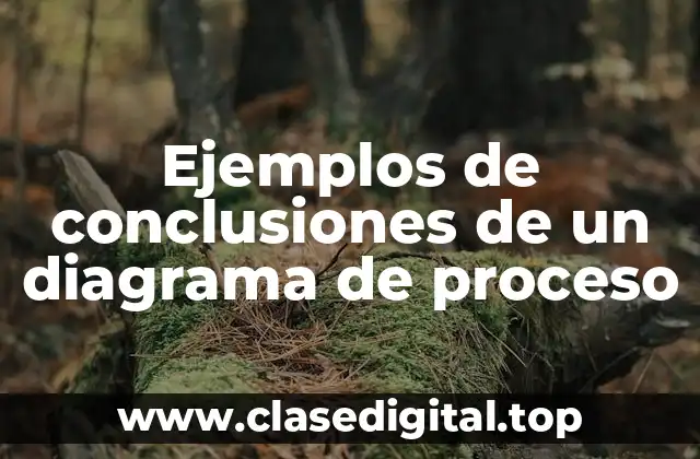 Ejemplos de conclusiones de un diagrama de proceso