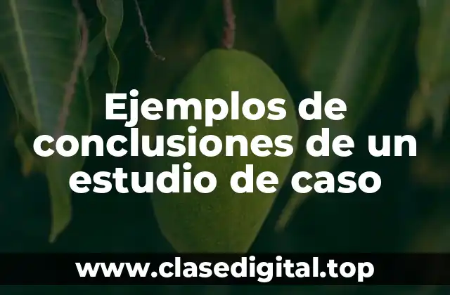 Ejemplos de conclusiones de un estudio de caso