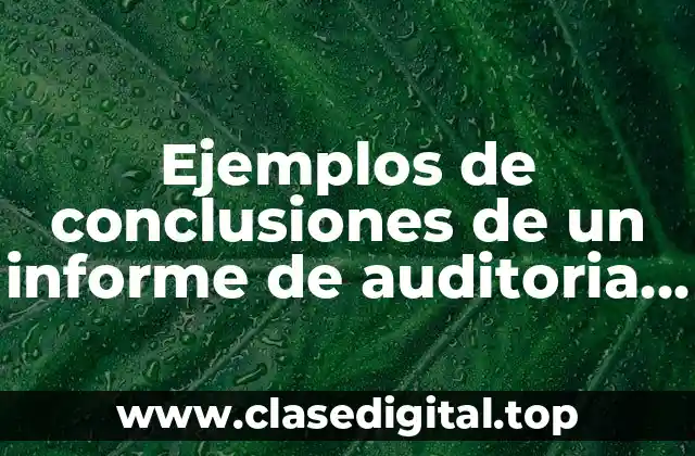 Ejemplos de conclusiones de un informe de auditoria y Significado