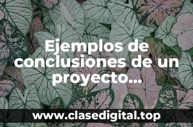 Ejemplos de conclusiones de un proyecto arquitectónico
