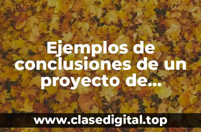 Ejemplos de conclusiones de un proyecto de altruismo