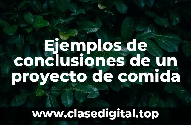 Ejemplos de conclusiones de un proyecto de comida