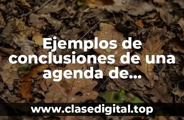 Ejemplos de conclusiones de una agenda de educación
