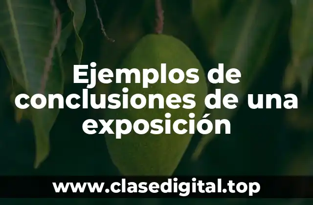 Ejemplos de conclusiones de una exposición