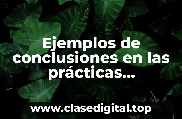 Ejemplos de conclusiones en las prácticas profesionales